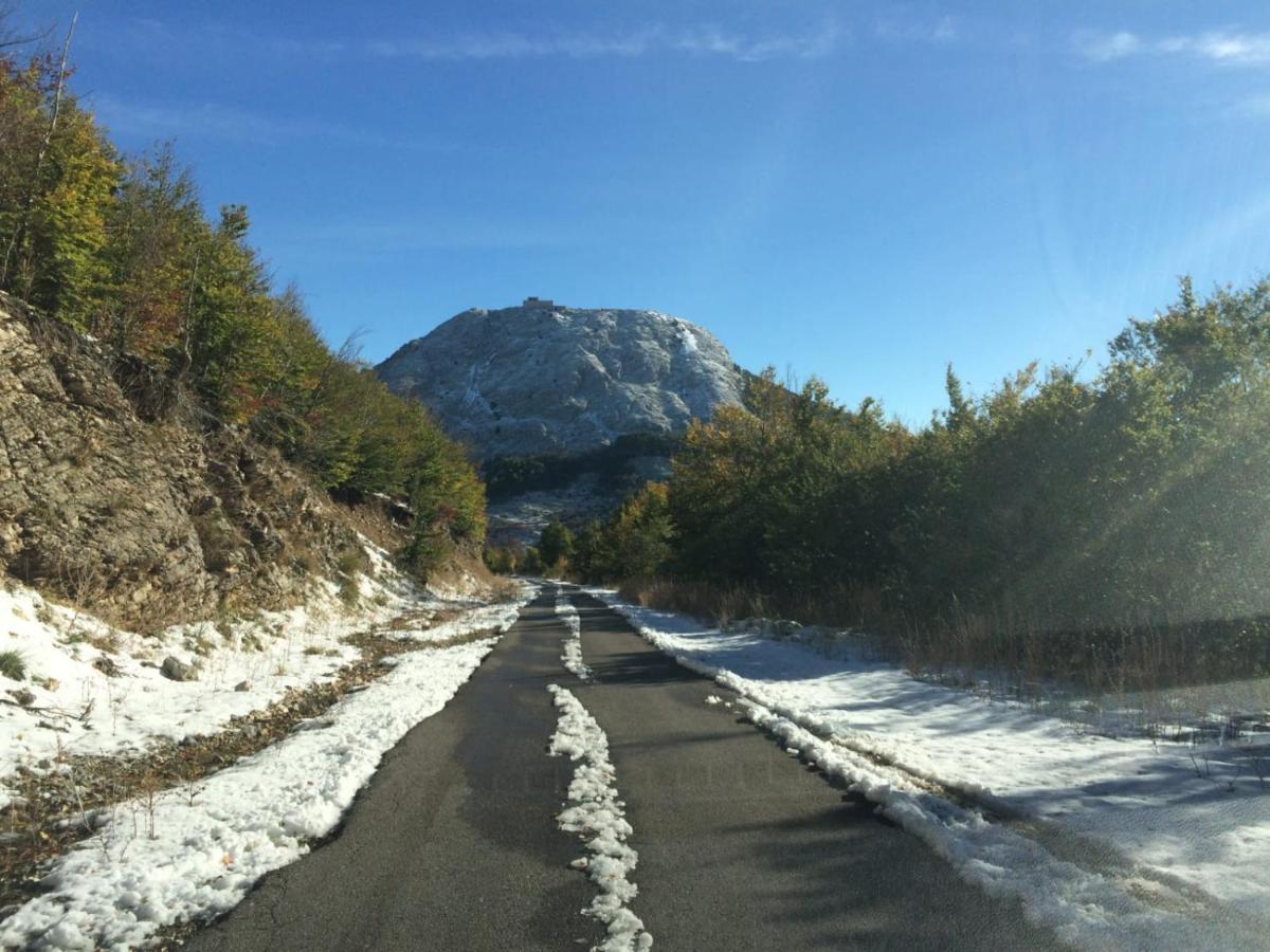 Appartamento Vila Djuro Mikijelj Donji Stoliv Esterno foto