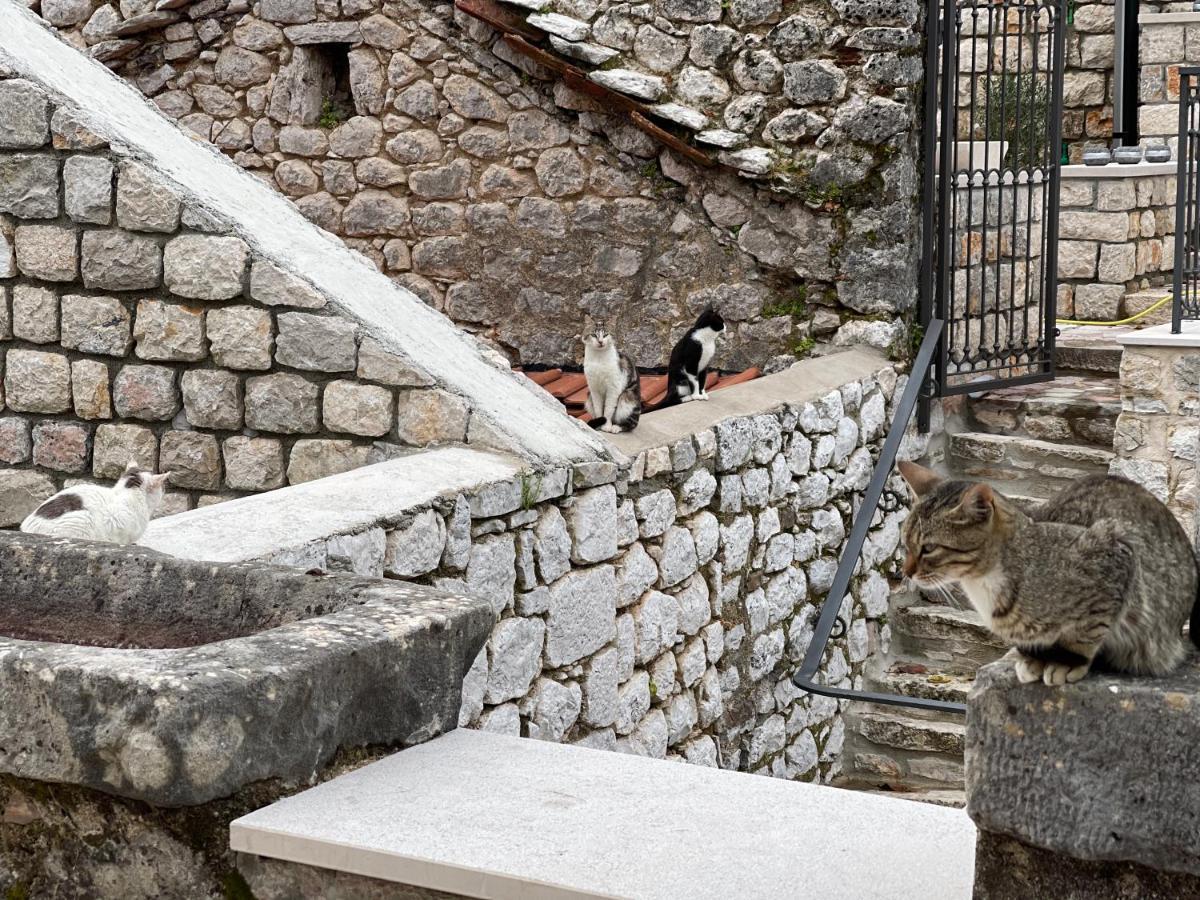 Appartamento Vila Djuro Mikijelj Donji Stoliv Esterno foto