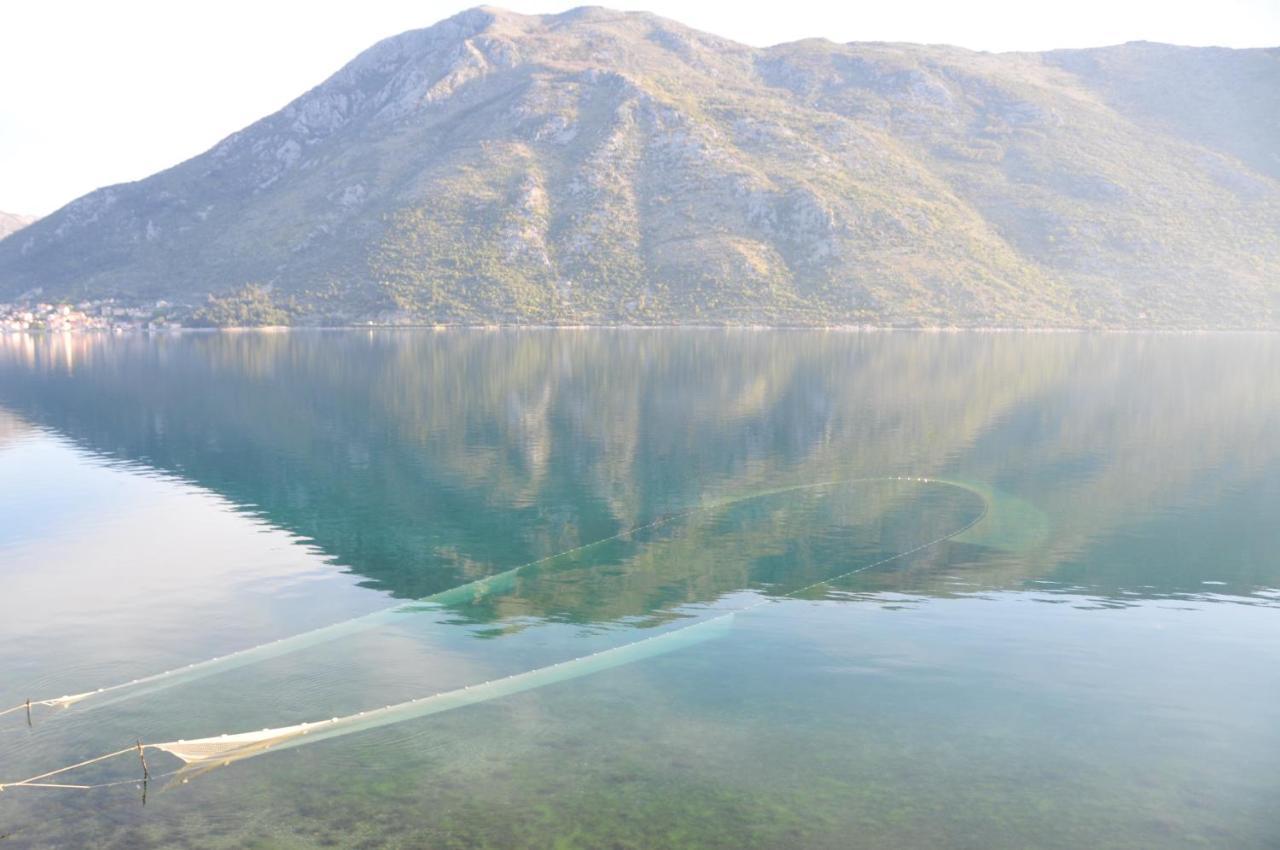 Appartamento Vila Djuro Mikijelj Donji Stoliv Esterno foto